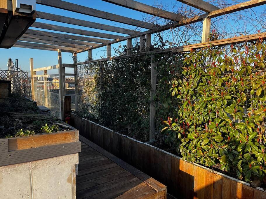 Spacious With Shared Jacuzzi/private Terrace * Budapest
