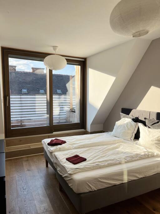 Spacious With Shared Jacuzzi/private Terrace Apartment