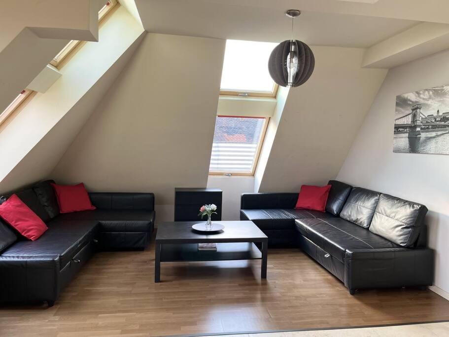Spacious With Shared Jacuzzi/private Terrace *