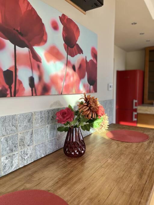 Apartment Spacious With Shared Jacuzzi/private Terrace