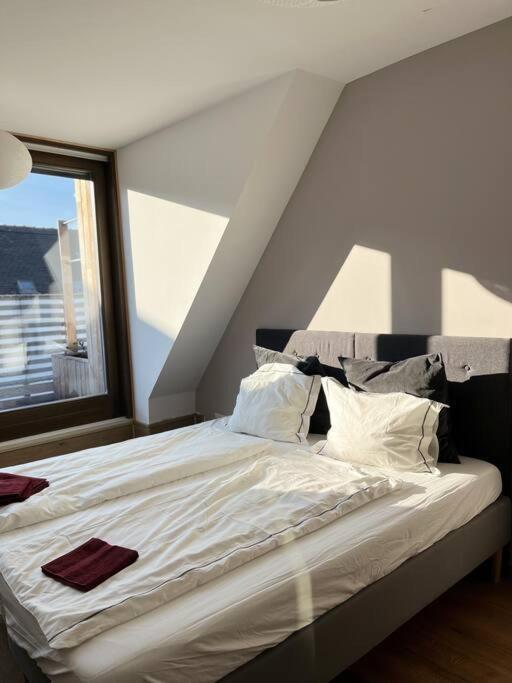 Spacious With Shared Jacuzzi/private Terrace Apartment *